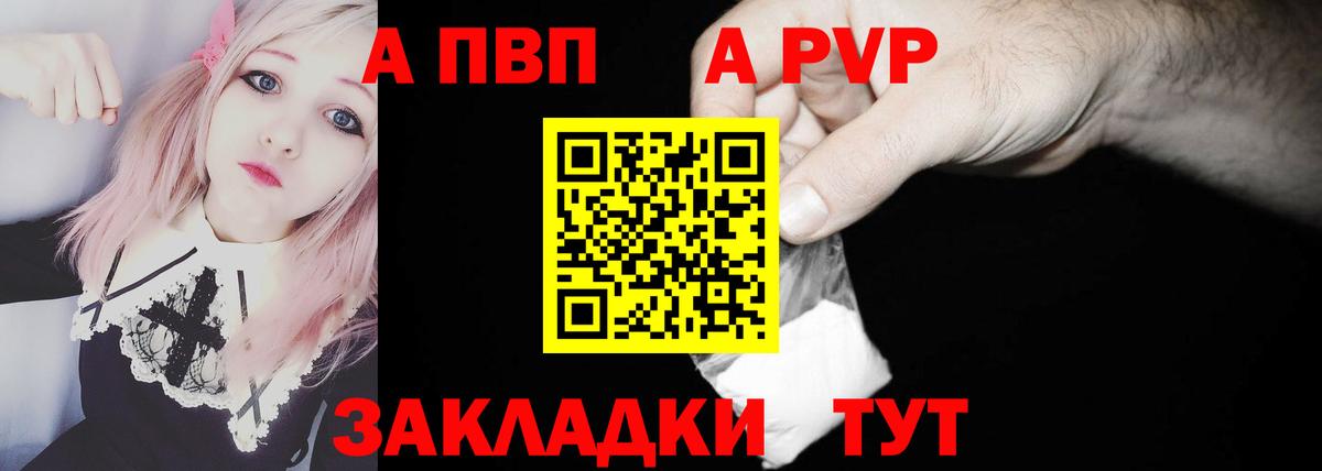 A-PVP СК Котлас
