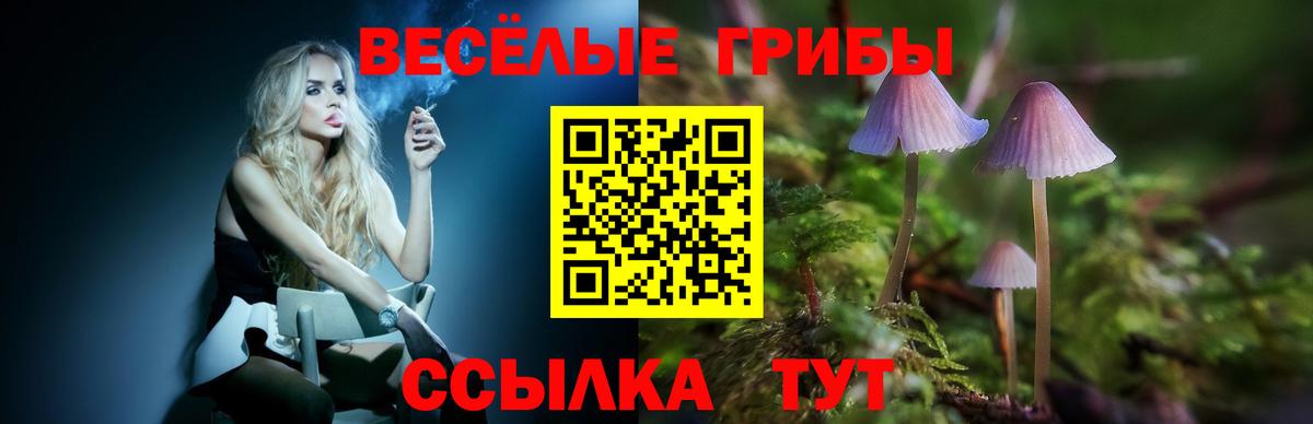 Котлас  Галлюциногенные грибы Cubensis  Вход с VPN 